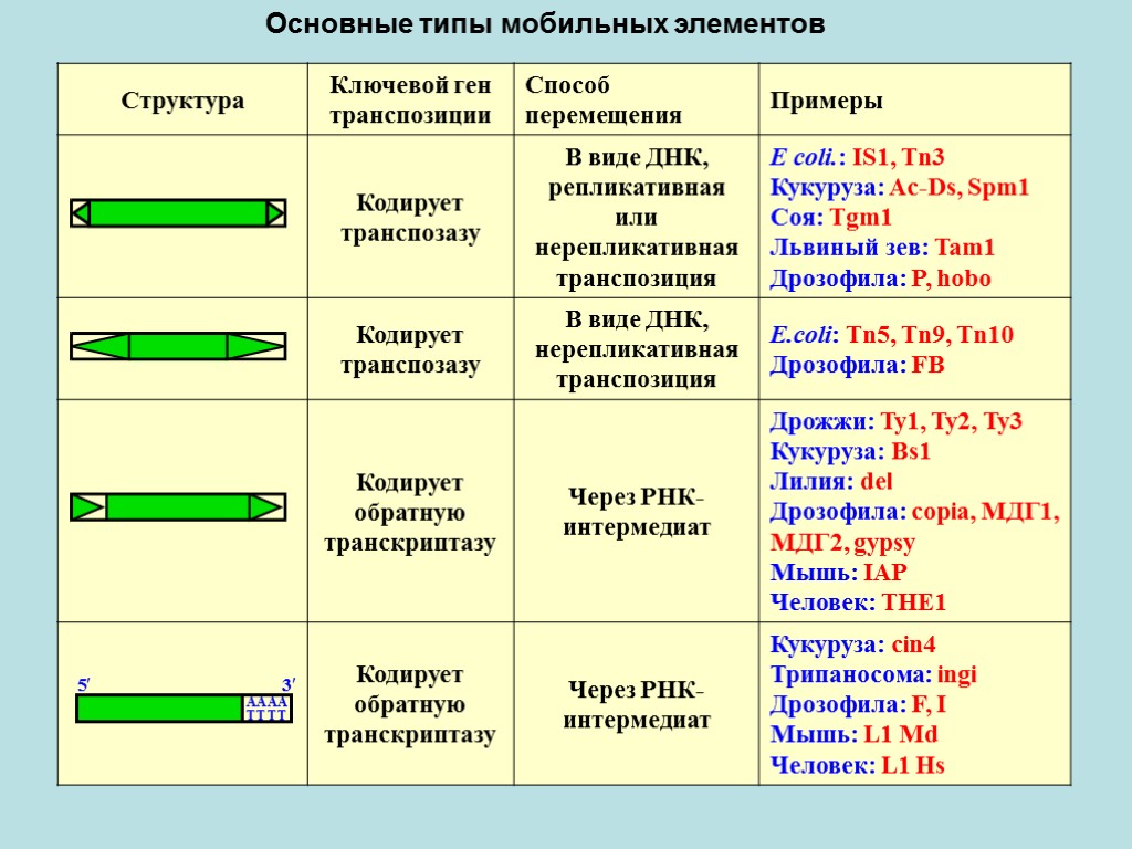 Основные типы мобильных элементов